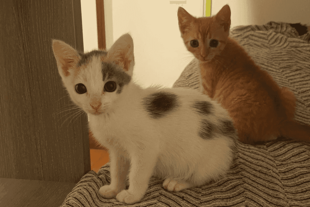 Taina y Beni