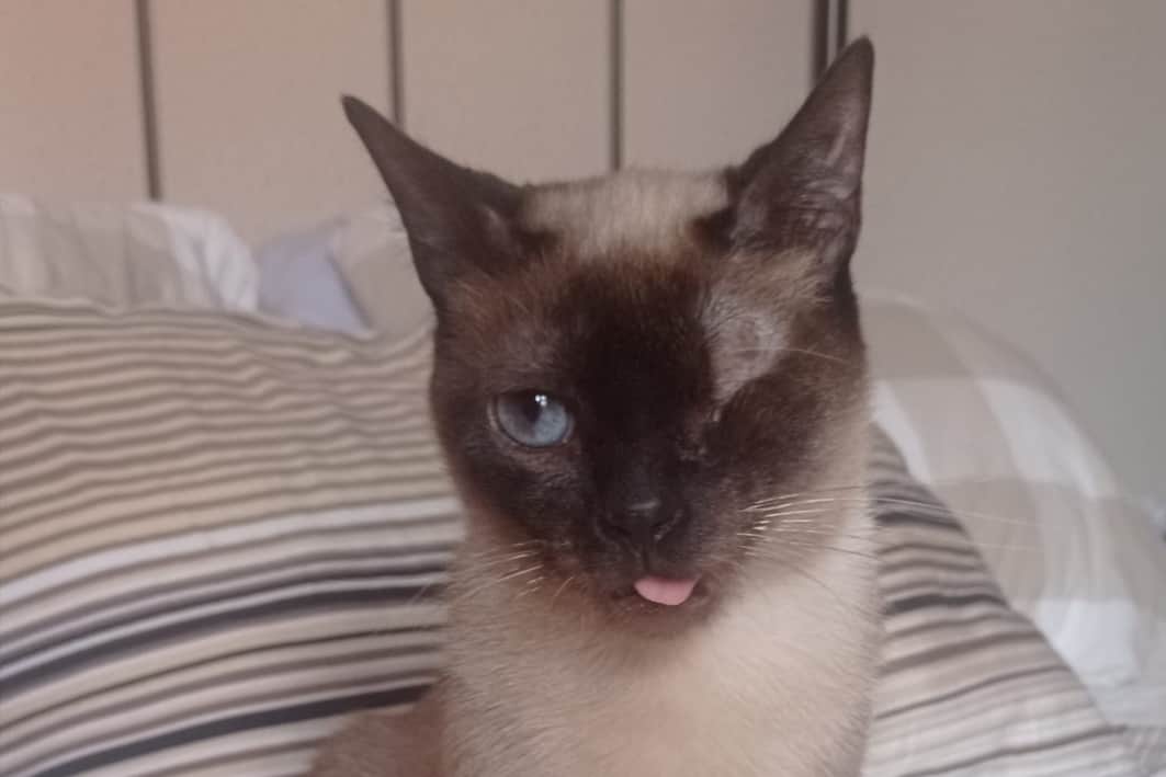 Zoe